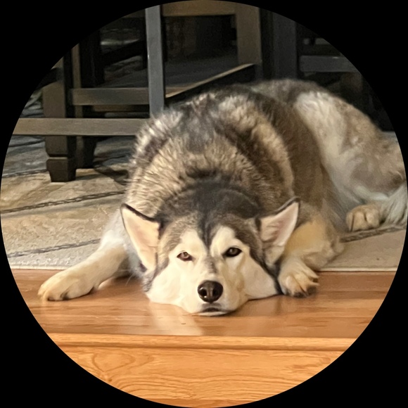 tiffinyspiker